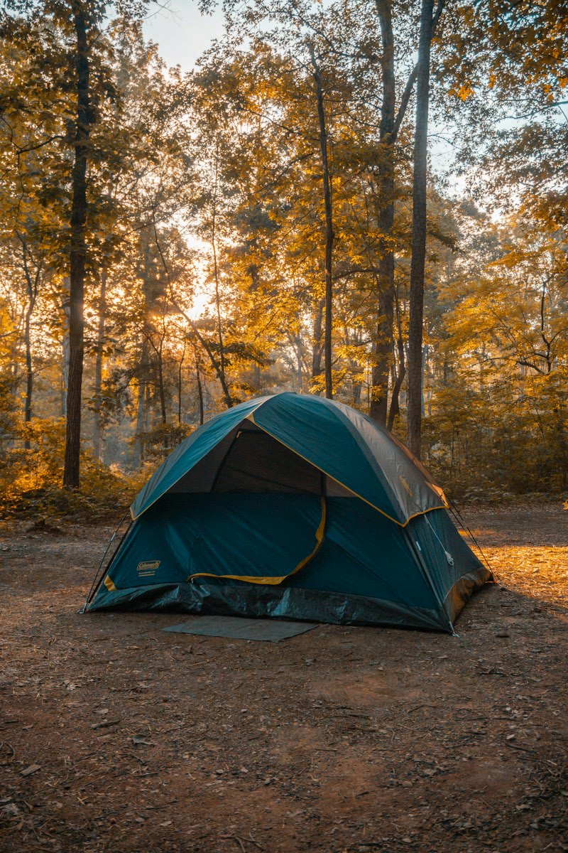 Tent and camping gear in a forest clearing